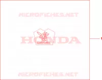 KIT LOGO SE pour Honda CB 600 F HORNET de 2010