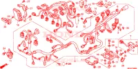 FAISCEAU DES FILS pour Honda CBR 600 F de 2011