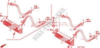 RADIATEUR D'HUILE pour Honda TRX 250 FOURTRAX RECON Standard de 2009