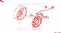 ALTERNATEUR pour Honda FOURTRAX 350 RANCHER 4X4 de 2006