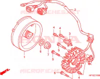 ALTERNATEUR pour Honda TRX 450 R SPORTRAX Electric Start de 2011