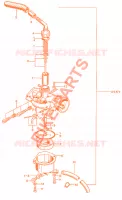 E08 pour Honda AMIGO 50 4 STROKE, rear cushions de 1975