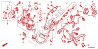FAISCEAU DES FILS (NSC50WHC/MPDC) pour Honda VISION 50 de 2012