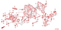CULASSE pour Honda SH 125 SPECIAL 2F de 2012
