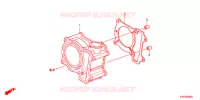 CYLINDRE pour Honda SH 150 R STANDARD de 2012