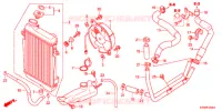 RADIATEUR pour Honda SH 300 R ABS TYPE 3ED de 2012