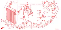 RADIATEUR pour Honda SH 300 de 2012