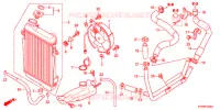 RADIATEUR pour Honda SH 300 R de 2012