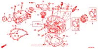 CULASSE pour Honda FOURTRAX 500 FOREMAN 4X4 Power Steering de 2012