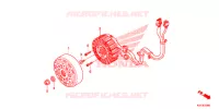 ROTOR   STATOR pour Honda SH 150 SPECIAL 3F de 2013