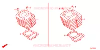 CYLINDRE pour Honda CRF 100 de 2012