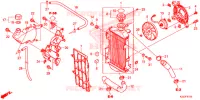 RADIATEUR pour Honda CRF 250 L de 2014