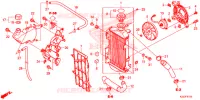 RADIATEUR pour Honda CRF 250 M BLACK de 2014