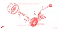 ALTERNATEUR pour Honda CRF 250 M RED de 2014
