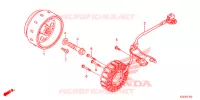 ALTERNATEUR pour Honda CRF 250 M RED de 2014