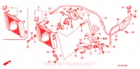 RADIATEUR pour Honda FS 125 SONIC MC de 2005