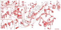 FAISCEAU DES FILS pour Honda VISION 110 de 2012