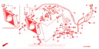 RADIATEUR pour Honda FS 125 SONIC M de 2005