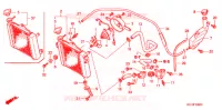 RADIATEUR pour Honda FS 125 SONIC M de 2006