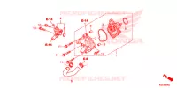 POMPE A EAU pour Honda SH 150 D SPECIAL 5ED de 2014