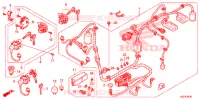 FAISCEAU DES FILS pour Honda SH 150 D de 2014