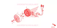 ROTOR   STATOR pour Honda SH 150 SPECIAL 5ED de 2014