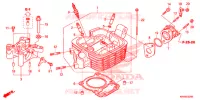 CULASSE pour Honda XL 125, Kick starter only -2DK- de 2012