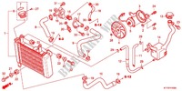 RADIATEUR pour Honda CBR 125 TRICOLORE de 2012