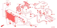 RADIATEUR pour Honda CBR 250 R ABS TRICOLORE de 2011