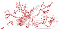 FAISCEAU DES FILS pour Honda WAVE 110 front brake disk de 2012