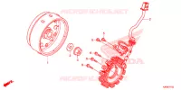 STATOR   ROTOR pour Honda MSX 125 de 2013