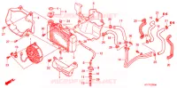 RADIATEUR pour Honda SH 150 R de 2008
