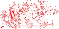 RADIATEUR pour Honda SHADOW VT 750 de 2001