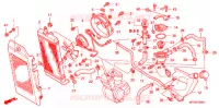 RADIATEUR pour Honda SHADOW VT 750 Kumamoto factory de 2004