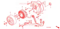 ROTOR   STATOR pour Honda 50 SMART DIO DX de 2001