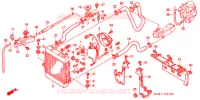 RADIATEUR pour Honda FORZA 250 TOP CASE de 2002