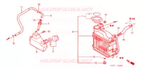 RADIATEUR pour Honda 50 SMART DIO de 2002