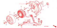 ROTOR   STATOR pour Honda 50 SMART DIO de 2002