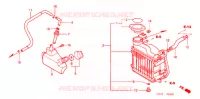 RADIATEUR pour Honda 50 SMART DIO DX de 2003