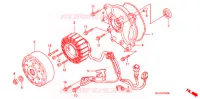 ROTOR   STATOR pour Honda 50 SMART DIO DX de 2003