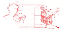 RADIATEUR pour Honda 50 SMART DIO DX de 2004
