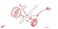 ALTERNATEUR pour Honda CBF 125 de 2012