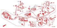 FAISCEAU DES FILS (Z50J9,B,C,E) pour Honda MONKEY 50 de 2011