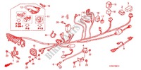FAISCEAU DES FILS   BOBINE D'ALLUMAGE (C901,2,5,7) pour Honda SUPER CUB 90 CUSTOM SQUARE LIGHT de 2002