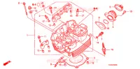 CULASSE pour Honda CB 300 R de 2012