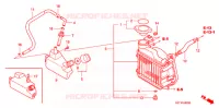 RADIATEUR pour Honda 50 CREA SCOOPY de 2003