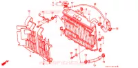 RADIATEUR pour Honda CR 250 R de 1999