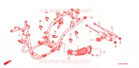 CADRE pour Honda LEAD 110 EX SPECIAL COLOR de 2011