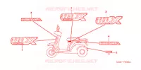 AUTOCOLLANTS pour Honda 50 GYRO X POST OFFICE de 2005