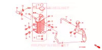 RADIATEUR pour Honda 50 GYRO X BASIC de 2012